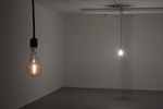 Two Bulbs: Installation View